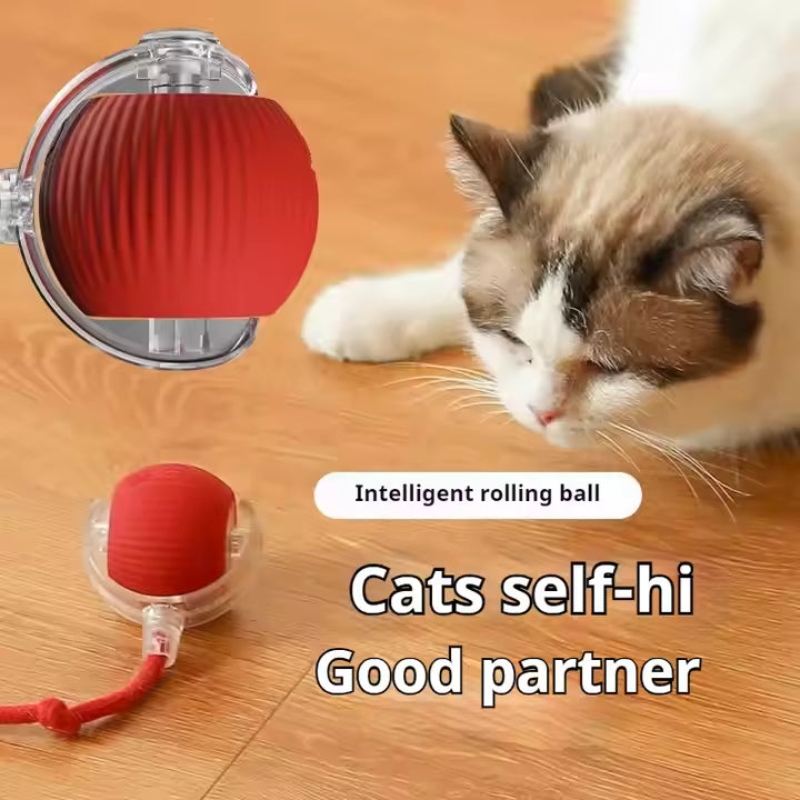 Eco-Friendly Pet Interactive Toy Ball