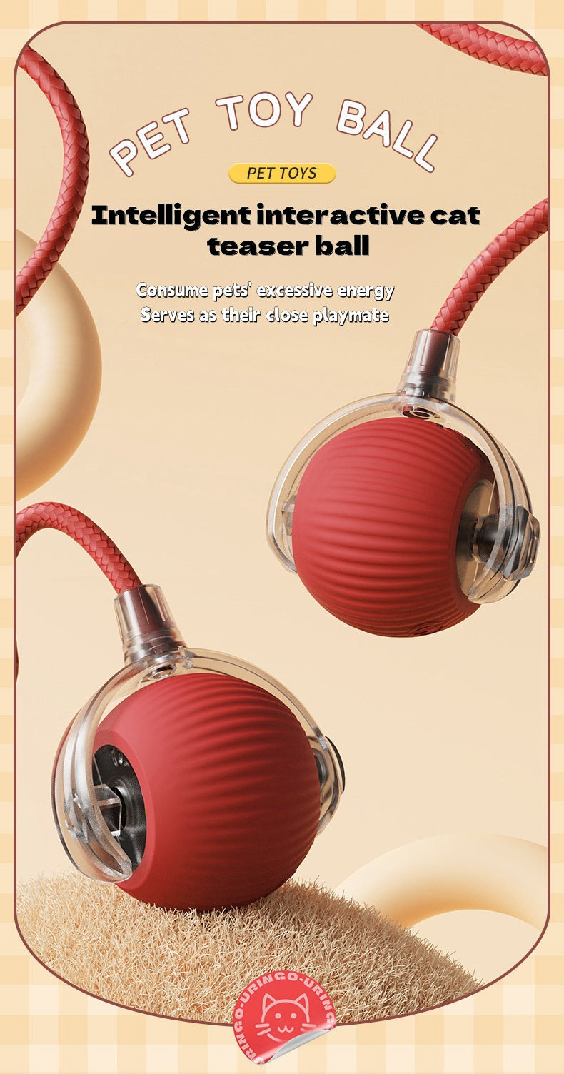 Eco-Friendly Pet Interactive Toy Ball