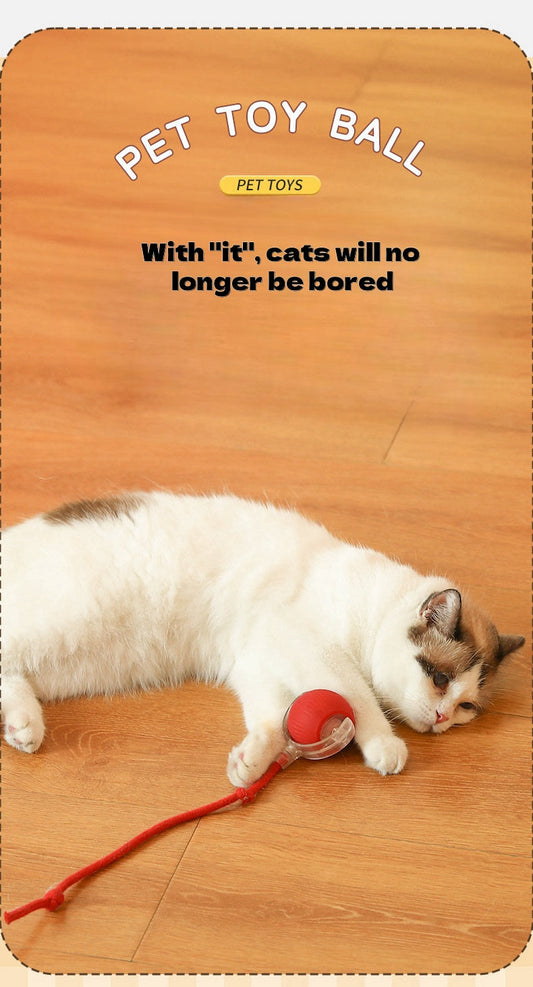 Eco-Friendly Pet Interactive Toy Ball