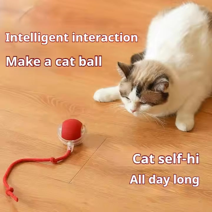 Eco-Friendly Pet Interactive Toy Ball