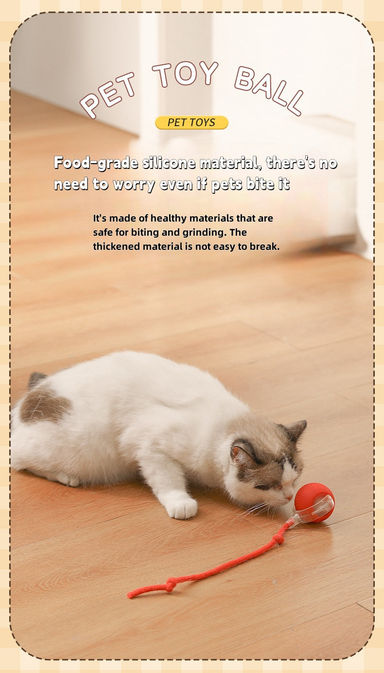 Eco-Friendly Pet Interactive Toy Ball